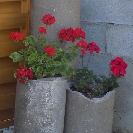 Le Rosier *
